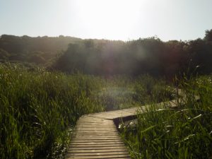 uMhlanga Lagoon Nature Reserve